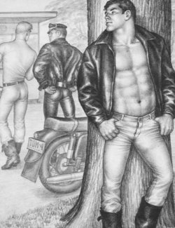 [Tom of Finland] Thief #1