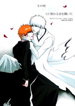 [Gyoukou (Rioka Masaki)] Sonotoki Sekai ga Hibi Wareru Oto o Kiita (Bleach) [English] [Strawberry Poison]