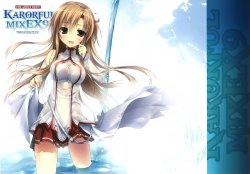 (SC57) [KAROMIX (karory)] KARORFUL MIX EX9 (Sword Art Online) [Chinese] [空気系★汉化]