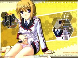 [Kairaku Shuudan (Katou Kakashi)] IF - impact factor - (IS <Infinite Stratos>) [2012-04-30]