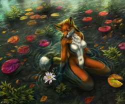 [furaffinity.net] Aurru's Gallery