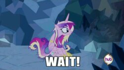 Twilight Thinks Cadance Is A Sussy Baka