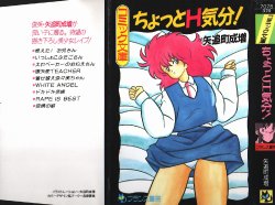 [Yaoichou Narimasu] Chotto H-Kibun!