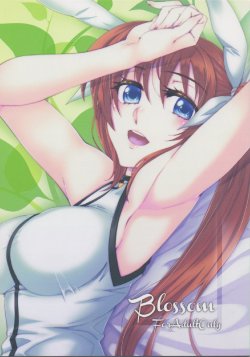 (C82) [ROCK'inChair (Jinnai)] Blossom (Mahou Shoujo Lyrical Nanoha)