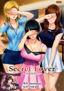 (C91) [Number2 (Takuji)] Secret Lover ~Himitsu no Koibito~ | 비밀의연인 [Korean] [시뮬라시옹]