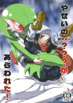 (C101) [Hanya Yashiki (Hanya)] Yasei no Oyabun Sirnight ga Arawareta! (Pokémon) [korean]