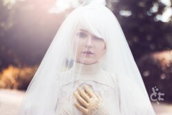 Denialism - 2B bride