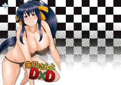 [Shijou Misaki (Satou Souji)] Akeno-san to DxD (High School DxD) [English] [クロカギ] [Digital]