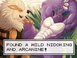 [Nuroi] Arcanine and Nidoking