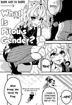[SGB] 피트의 성별은? | What is Pitou's Gender? (Hunter x Hunter) [English]