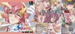 (C74) [LOST RARITIES (Takapiko)] SOUL FOUNDATION II -EXP- (Mobile Suit Gundam Seed Destiny)