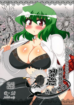 (Yarinsai 3) [Mousouzoku no Soukutsu (Various)] Yuuka Kuro Shitagi Goudoushi Kuro Himawari Chuui Keihou (Touhou Project) [Korean] [LWND]