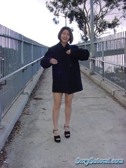 Satomi Mizuno (Exhibition in San Diego) Satomi Mizuno (Exhibition in San Diego)