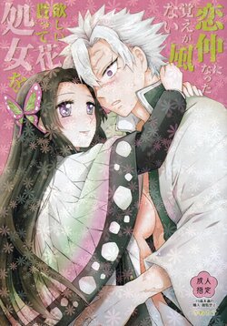 [Mag Time (Io)] Shoujo o Moratte Hoshii Hana. Koinaka ni Natta Oboe ga Nai Kaze (Kimetsu no Yaiba) [Spanish] [Mister Nugget]