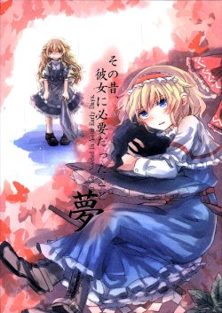 (C85) [AM:TIGER (Toran)] Sono Mukashi, Kanojo ni Hitsuyou datta Koto Yume (Touhou Project)