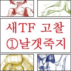 [Koganemushi] Tori TF ni Kansuru Kousatsu to Renshuu | Study and practice about bird TF [Korean]