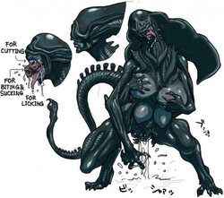 Tag: alien vs predator - E-Hentai Galleries