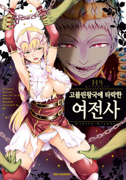 [H9] Goblin Oukoku ni Ochita Onna Senshi | 고블린왕국에 타락한 여전사 [Korean] [Digital]