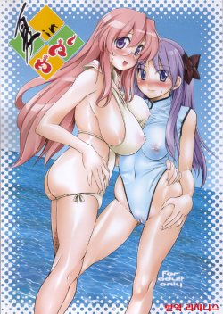 (C72) [Hi-PER PINCH (clover)] Natsu in Summer (Lucky Star) [Korean] [리치니스]