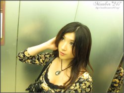 Shiori [Member-247(Maxi-247)]