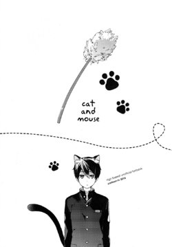(Splash!Hi) [cartoon-tv (Uyu)] Cat and Mouse (High☆Speed! -Free! Starting Days-) [English] [Holy Mackerel]
