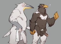 [Mayoineko (INAX)] Pelican and White-tailed Eagle (French)