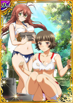 Ikkitousen Cards Coleccyion  Chouhi Ekitoku set