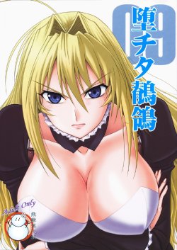 (C75) [Oretachi Misnon Ikka (Misnon the Great)] Ochita Sekirei (Sekirei) [Chinese] [飞雪汉化组]