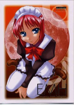 (C62) [UNI MATRIX ONE (Isou Doubaku)] E.M.H - emergency moon hologram (Tsukihime)