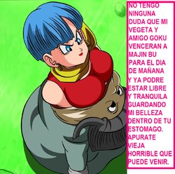 (Dicasty) BULMA Y PETISA SAGA MAJIN BU