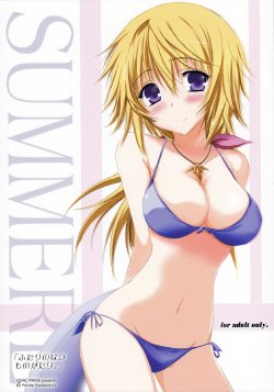 (C82) [SONIC WINTER (Tsukishima Kai)] Futari no Natsu Monogatari. | Our Summer Memory (Infinite Stratos) [English] {Rapid Switch}