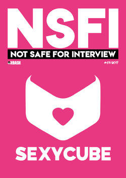 NSFI - Not Safe For Interview (Covers) (by Mr.X-Bash)