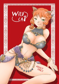 (SC35) [True-Bell (Nekono Lonmiy)] Wild Cat (Final Fantasy XI)