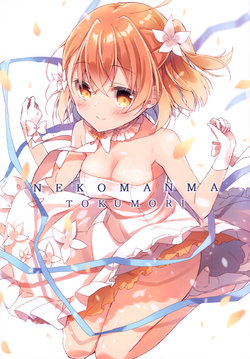 (C95) [Amamineko Cafe (Amamine)] NEKOMANMA TOKUMORI (Various)