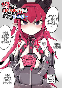 (C96) [Ekurabe (Henoeno)] Koisuru Mecha Eli-chan to Josou Master | 사랑 하는 메카에리짱과 여장 마스터 (Fate/Grand Order) [Korean] [LWND]