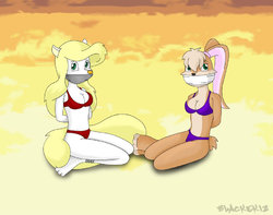 Lola Bunny Collection 3