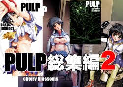 [prettydolls (Araki Hiroaki)] PULP Soushuuhen 2 (Street Figher)