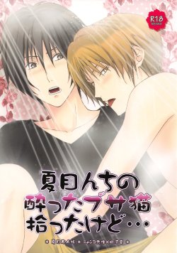 (SUPER21) [MTD (Rei)] Natsumenchi no Yotta Busaneko Hirotta kedo... (Natsume's Book of Friends)