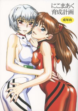 (C65) [Nikomark (Minazuki Juuzou)] Nikomark Ikusei Keikaku (Neon Genesis Evangelion)