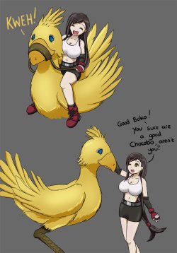 [SkyLark] Chocobo Fantasy (Final Fantasy VII)