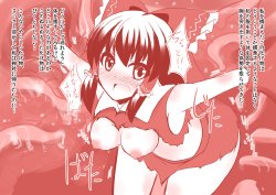 [Kenpi] Shinki Shokushushain Nyuushashiken no Yousu (Touhou Project)