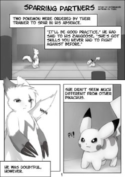 [Tiuhu] Sparring Partners (Pokemon) [Incomplete]