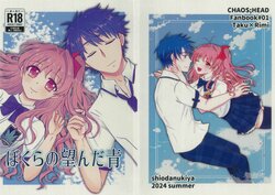 (C104) [Shiotanukiya (Shiotanuki no fuku)] Bokura no Nozonda Ao (Chaos;Head)