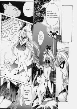 Sailor V (Bishoujo Senshi Sailor Moon) [English]