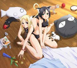 catgirls