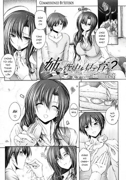 [Otone] Ane no Senaka o Mite Sodatsu? (COMIC Megastore 2010-01) [Vietnamese Tiếng Việt] [shirayuki(vothientai)]