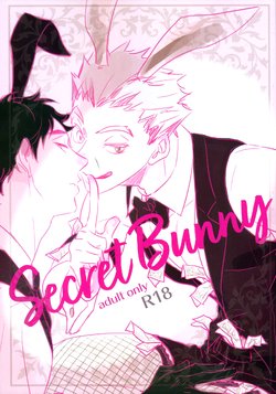 (RTS!! 28) [en.en (Orie)] Secret Bunny (Haikyuu!!) [English] [Goddess Scans]