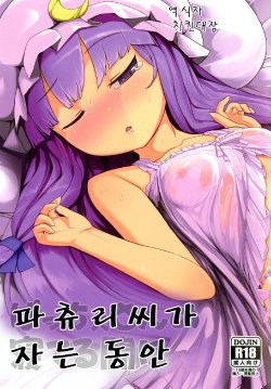 [Yashiya (Yassy)] Patche-san no Neteru Aida ni | 파츄리 씨가 자는 동안 (Touhou Project) [Korean] [치킨대장] [Digital]