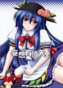 (C74) [Dokomademo Aoi Sora ni Ukabu Niku (Nikusoukyuu)] Mousou Uchouten!! (Touhou Project) [Korean] [LIMITE]