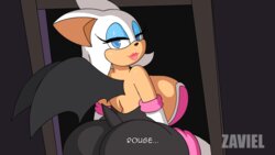 [Zaviel] Rouge's Night Escapade (Sonic the Hedgehog - Animated)